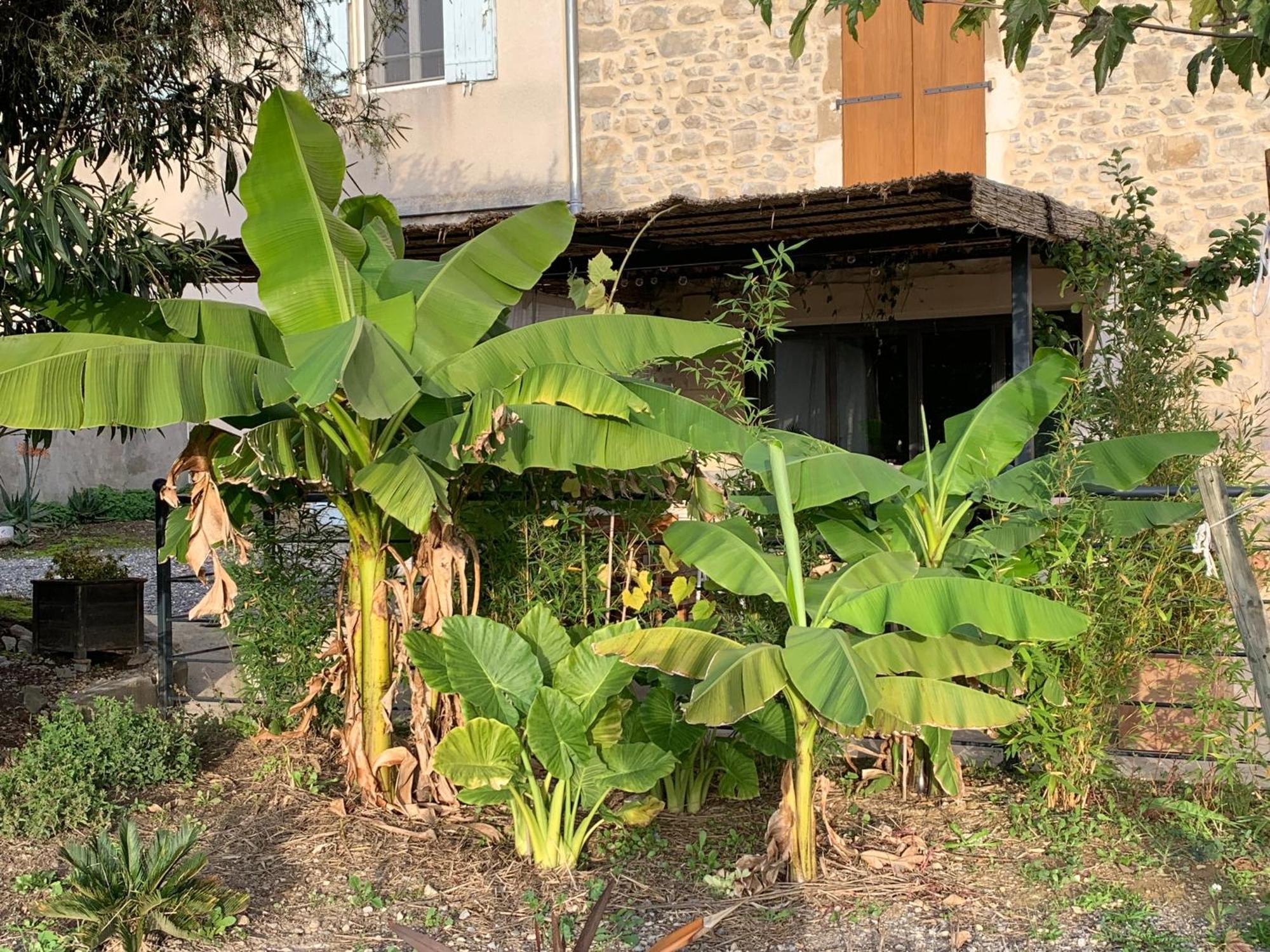 Ferienwohnung La Bergerie Domessargues Exterior foto