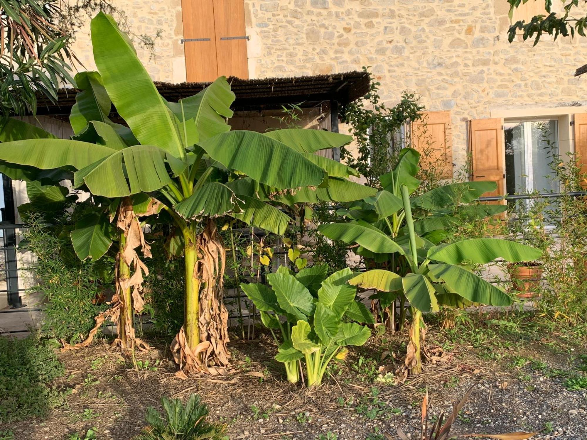 Ferienwohnung La Bergerie Domessargues Exterior foto