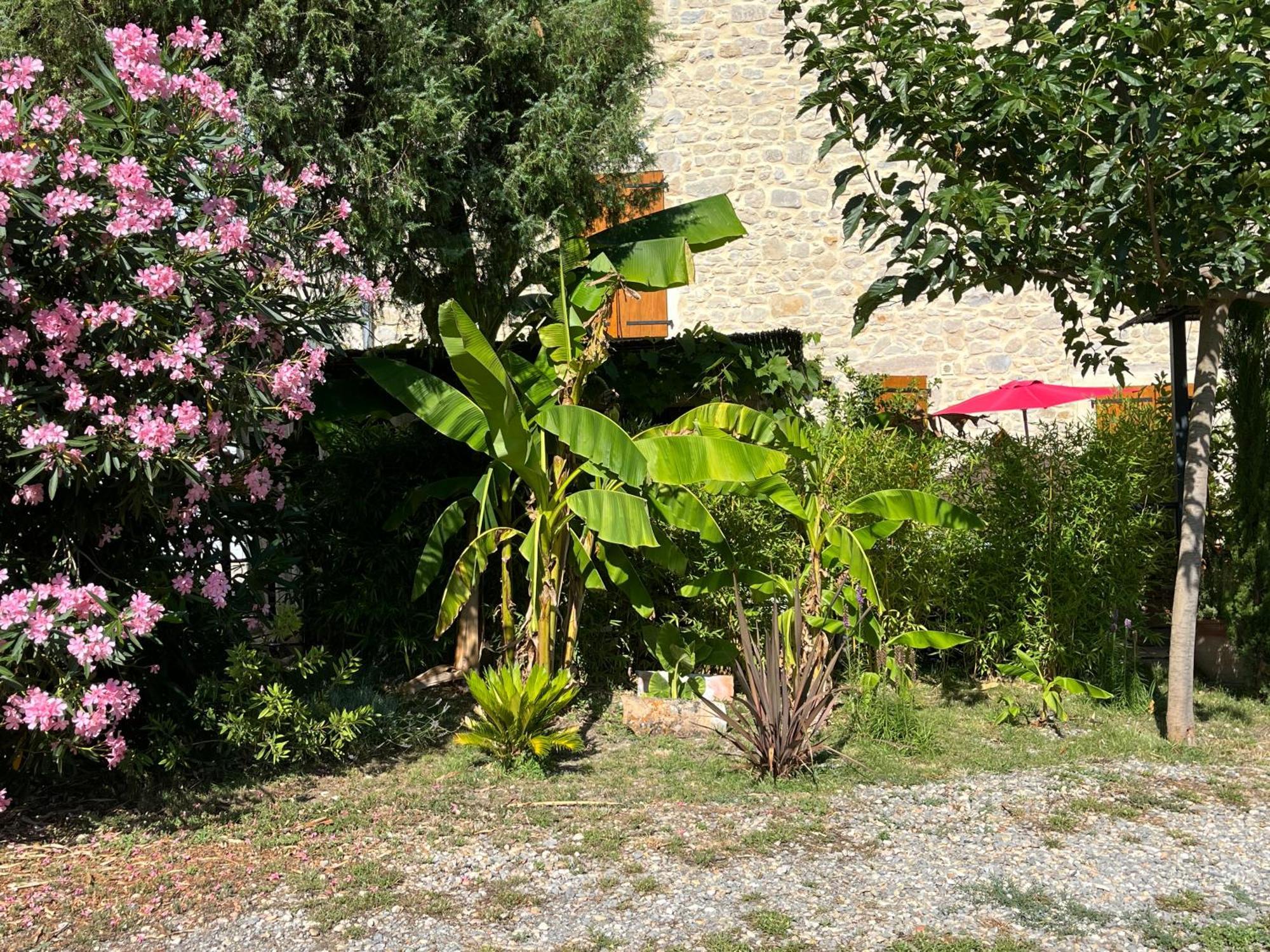 Ferienwohnung La Bergerie Domessargues Exterior foto